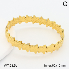 2BA202612vbpb-708  Stainless Steel Bangle