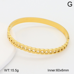 2BA202615vbpb-708  Stainless Steel Bangle