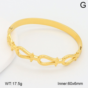 2BA202616vbpb-708  Stainless Steel Bangle