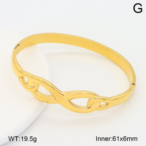 2BA202617vbpb-708  Stainless Steel Bangle