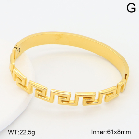 2BA202618vbpb-708  Stainless Steel Bangle