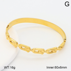 2BA202620vbpb-708  Stainless Steel Bangle
