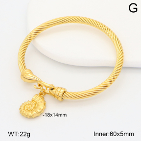 2BA202625vhha-708  Stainless Steel Bangle