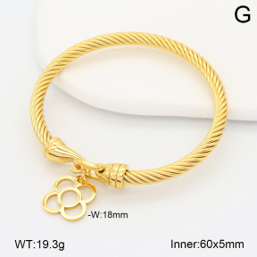 2BA202626vhha-708  Stainless Steel Bangle