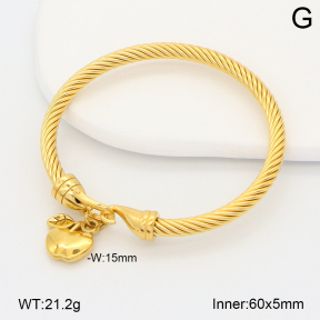 2BA202627vhha-708  Stainless Steel Bangle