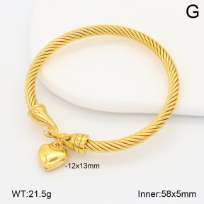 2BA202629vhha-708  Stainless Steel Bangle