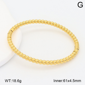 2BA202631vbnb-708  Stainless Steel Bangle