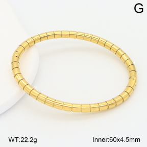 2BA202633vbnb-708  Stainless Steel Bangle