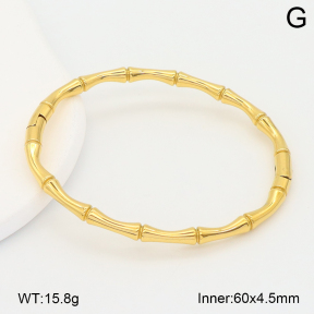 2BA202634vbnb-708  Stainless Steel Bangle