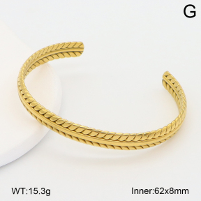 2BA202636vbpb-708  Stainless Steel Bangle