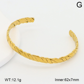 2BA202637vbpb-708  Stainless Steel Bangle