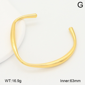 2BA202639vbpb-708  Stainless Steel Bangle