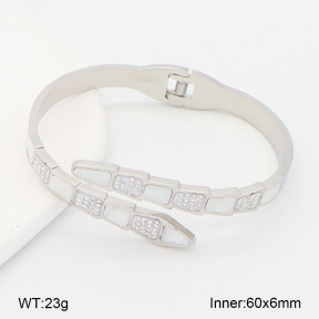 2BA402823vhha-708  Stainless Steel Bangle