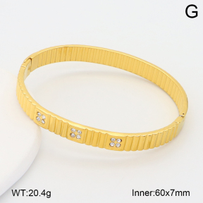 2BA402824vbpb-708  Stainless Steel Bangle