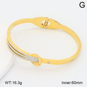 2BA402829vhha-708  Stainless Steel Bangle