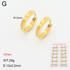 2E2006820akoa-387  Stainless Steel Earrings