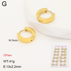 2E2006822ajma-387  Stainless Steel Earrings
