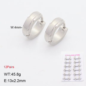 2E2006824akia-387  Stainless Steel Earrings