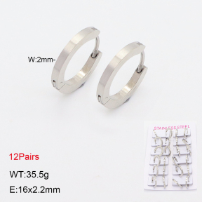 2E2006825ajma-387  Stainless Steel Earrings