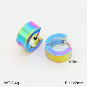 2E2006829avja-656  Stainless Steel Earrings