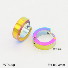 2E2006832avja-656  Stainless Steel Earrings