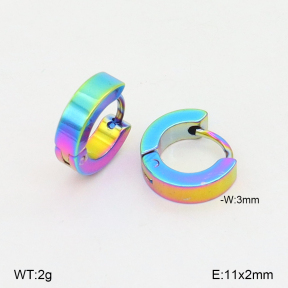 2E2006833avja-656  Stainless Steel Earrings