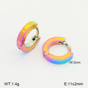 2E2006835avja-656  Stainless Steel Earrings