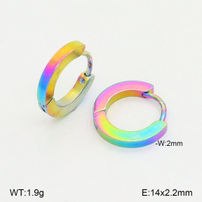 2E2006836avja-656  Stainless Steel Earrings