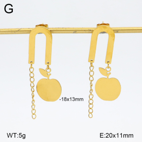 2E2006842baka-698  Stainless Steel Earrings