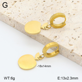 2E2006848avja-698  Stainless Steel Earrings