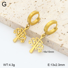 2E2006850avja-698  Stainless Steel Earrings
