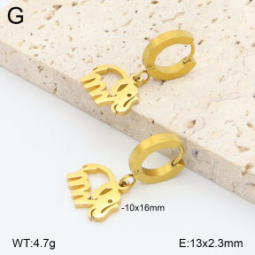 2E2006852avja-698  Stainless Steel Earrings