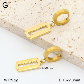 2E2006854avja-698  Stainless Steel Earrings