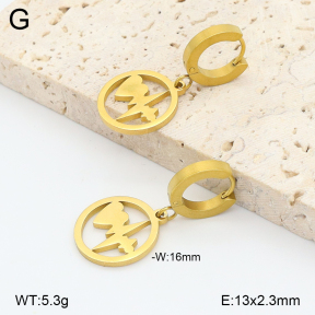 2E2006856avja-698  Stainless Steel Earrings