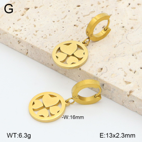 2E2006857avja-698  Stainless Steel Earrings