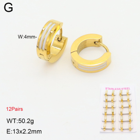 2E3004021alka-387  Stainless Steel Earrings