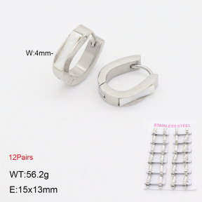 2E3004022akia-387  Stainless Steel Earrings