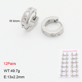 2E4005007akia-387  Stainless Steel Earrings