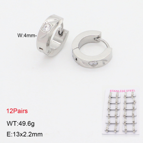 2E4005008akia-387  Stainless Steel Earrings