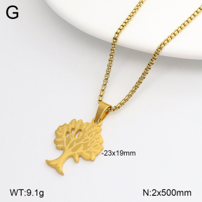 2N2008517baka-698  Stainless Steel Necklace