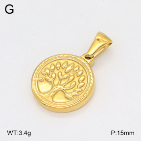 2P2005822vbmb-379  Stainless Steel Pendant