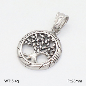 2P2005828vbnb-379  Stainless Steel Pendant