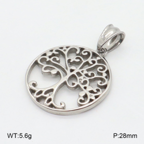 2P2005860abol-379  Stainless Steel Pendant