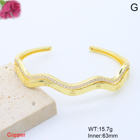 F6BA41702bhia-L017  Fashion Copper Bangle