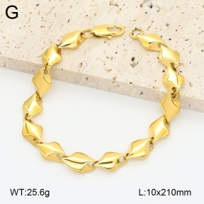 2B2005310vhnv-746  Stainless Steel Bracelet