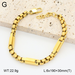 2B2005313vhov-746  Stainless Steel Bracelet