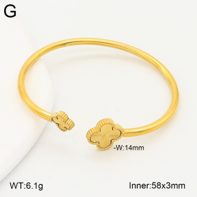 2BA202642bhil-746  Stainless Steel Bangle