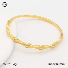 2BA402838bhia-355  Stainless Steel Bangle