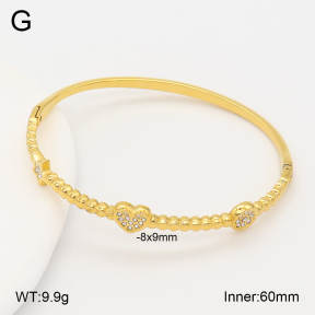 2BA402839bhia-355  Stainless Steel Bangle