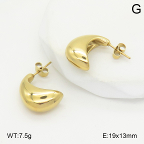 2E2006858baka-355  Stainless Steel Earrings